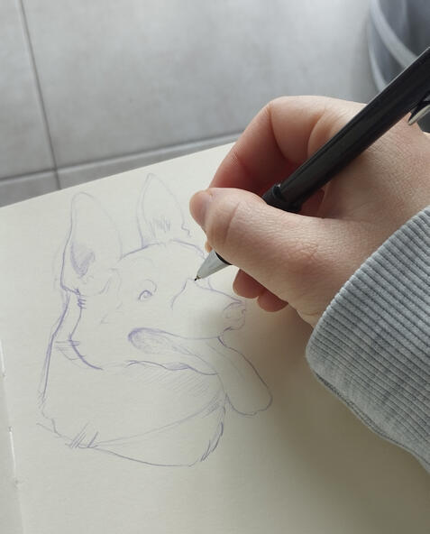 Dog drawing session